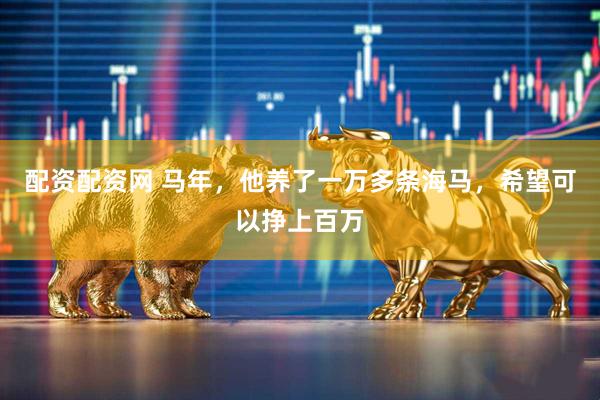 配资配资网 马年，他养了一万多条海马，希望可以挣上百万