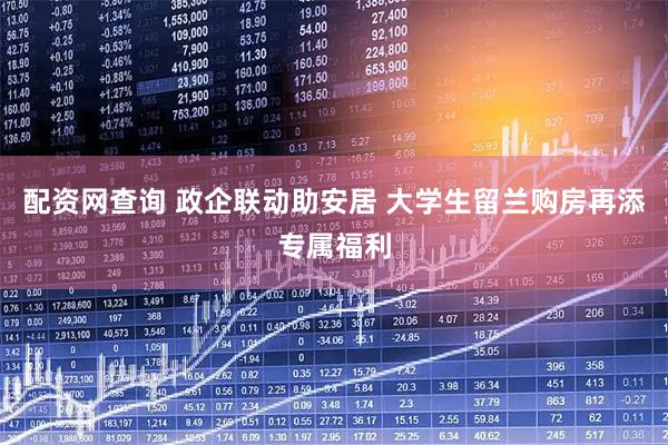 配资网查询 政企联动助安居 大学生留兰购房再添专属福利